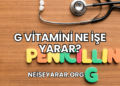G Vitamini Ne İşe Yarar?