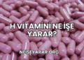 H Vitamini Ne İşe Yarar?
