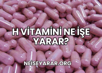 H Vitamini Ne İşe Yarar?