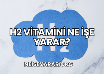 H2 Vitamini Ne İşe Yarar?