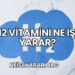 H2 Vitamini Ne İşe Yarar?