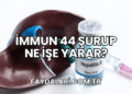 İmmun 44 Şurup Ne İşe Yarar?