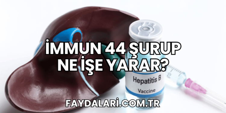 İmmun 44 Şurup Ne İşe Yarar?