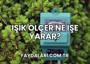 Işık Ölçer Ne İşe Yarar?