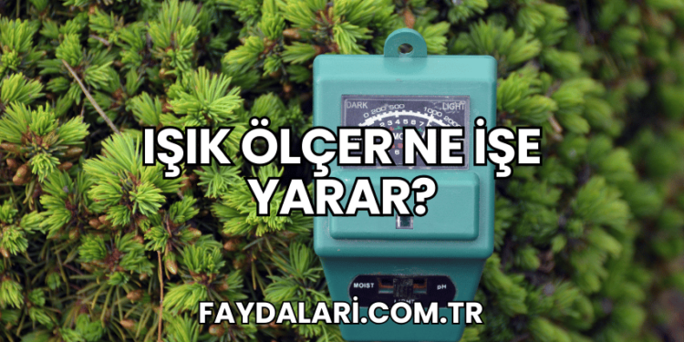 Işık Ölçer Ne İşe Yarar?