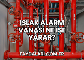 Islak Alarm Vanası Ne İşe Yarar?