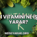 K1 Vitamini Ne İşe Yarar?