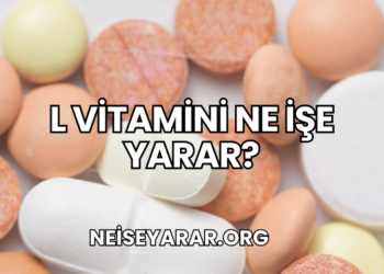 L Vitamini Ne İşe Yarar?