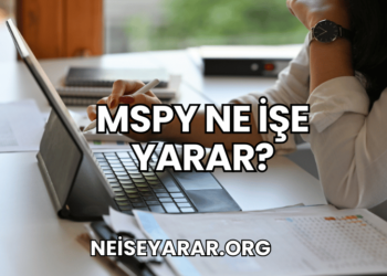 MSpy Ne İşe Yarar
