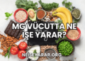 Mg Vücutta Ne İşe Yarar