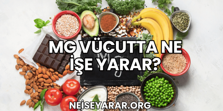Mg Vücutta Ne İşe Yarar