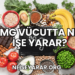 Mg Vücutta Ne İşe Yarar