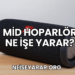 Mid Hoparlör Ne İşe Yarar
