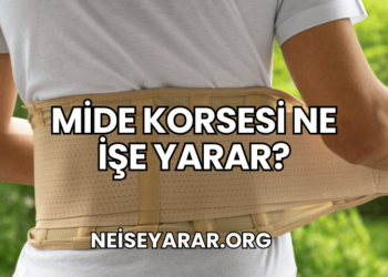 Mide Korsesi Ne İşe Yarar?