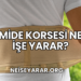 Mide Korsesi Ne İşe Yarar?