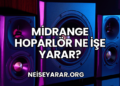 Midrange Hoparlör Ne İşe Yarar?