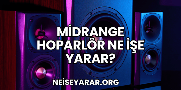 Midrange Hoparlör Ne İşe Yarar?