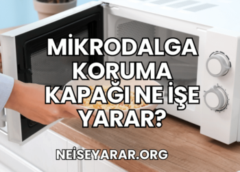 Mikrodalga Koruma Kapağı Ne İşe Yarar?
