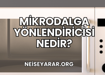 Mikrodalga Yönlendiricisi Nedir?