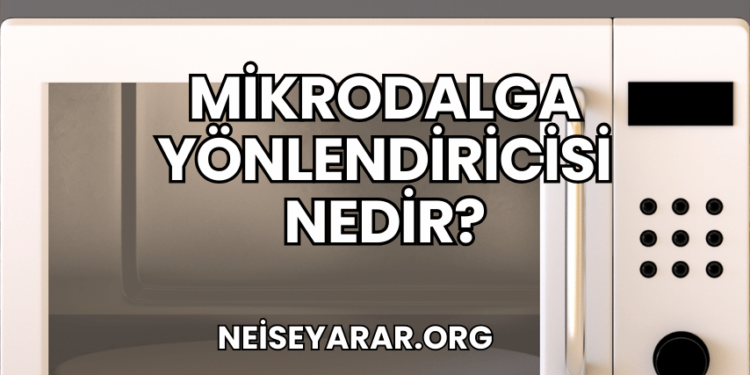 Mikrodalga Yönlendiricisi Nedir?