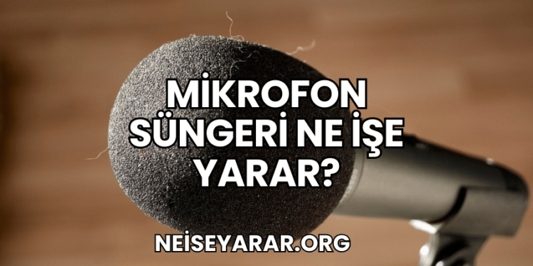 Mikrofon Süngeri Ne İşe Yarar