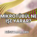 Mikrotübül Ne İşe Yarar?