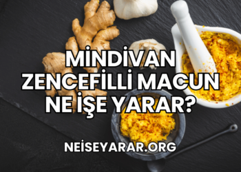 Mindivan Zencefilli Macun Ne İşe Yarar?