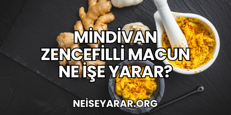 Mindivan Zencefilli Macun Ne İşe Yarar?