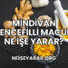 Mindivan Zencefilli Macun Ne İşe Yarar?