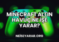 Minecraft Altın Havuç Ne İşe Yarar?