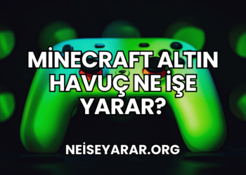 Minecraft Altın Havuç Ne İşe Yarar?