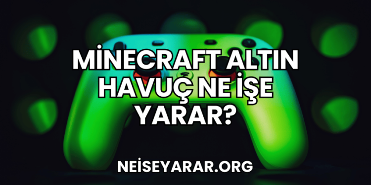Minecraft Altın Havuç Ne İşe Yarar?