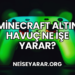 Minecraft Altın Havuç Ne İşe Yarar?