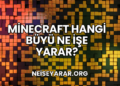 Minecraft Hangi Büyü Ne İşe Yarar?