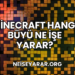Minecraft Hangi Büyü Ne İşe Yarar?