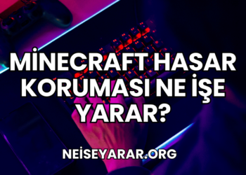 Minecraft Hasar Koruması Ne İşe Yarar