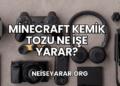 Minecraft Kemik Tozu Ne İşe Yarar?
