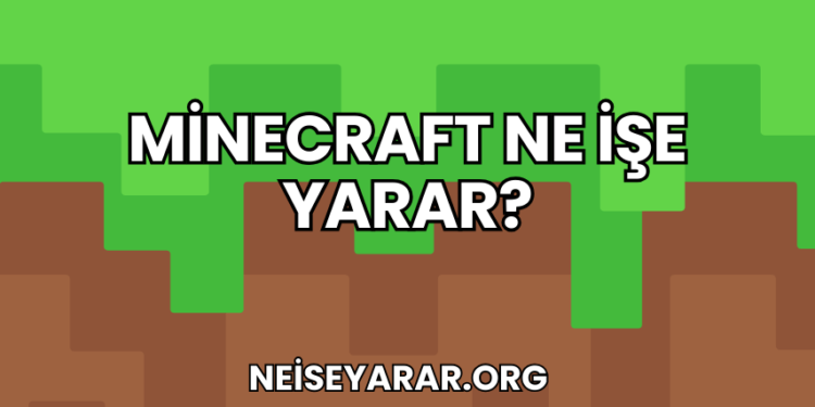 Minecraft Ne İşe Yarar?