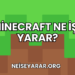 Minecraft Ne İşe Yarar?