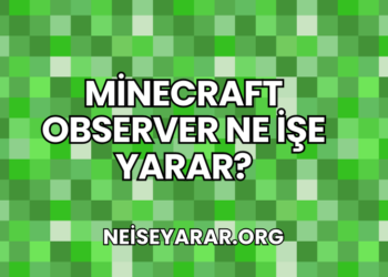 Minecraft Observer Ne İşe Yarar?