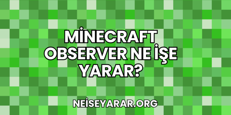 Minecraft Observer Ne İşe Yarar?