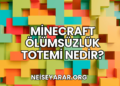 Minecraft Ölümsüzlük Totemi Nedir