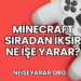 Minecraft Sıradan İksir Ne İşe Yarar?