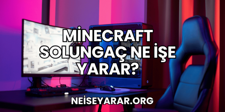 Minecraft Solungaç Ne İşe Yarar