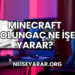 Minecraft Solungaç Ne İşe Yarar