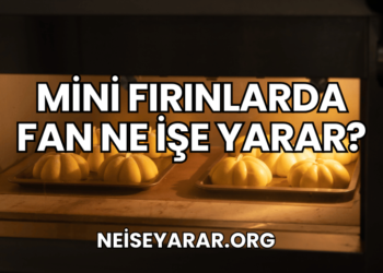 Mini Fırınlarda Fan Ne İşe Yarar?
