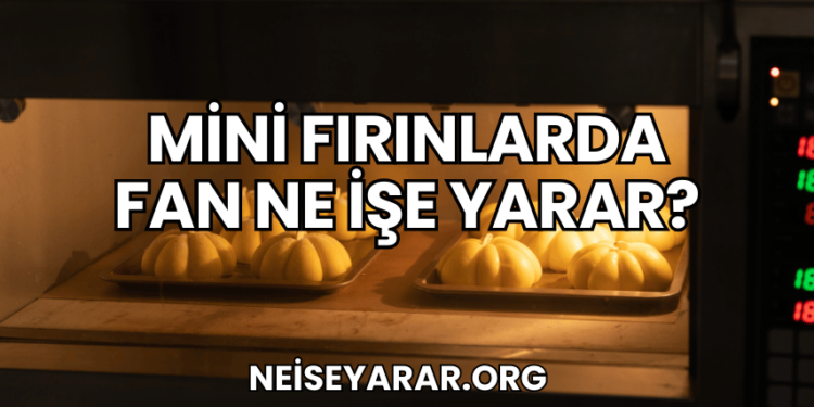 Mini Fırınlarda Fan Ne İşe Yarar?