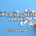 Mirica İlaç Ne İşe Yarar