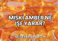 Miski Amber Ne İşe Yarar?