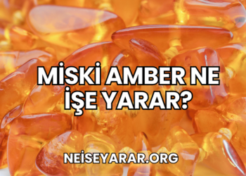 Miski Amber Ne İşe Yarar?